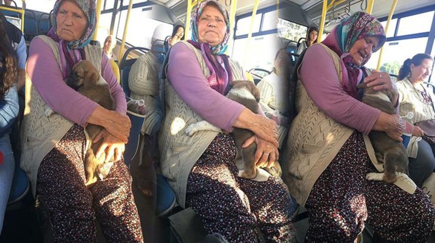 Yavru k&ouml;pekle otob&uuml;se bindi, sosyal medyada g&uuml;ndem oldu