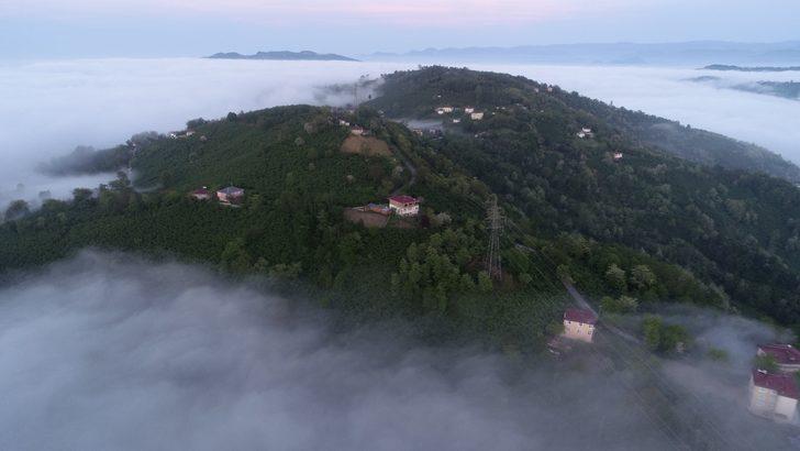 Ordu'da radyasyon oranlarının yükseldiği iddiasına açıklama G3