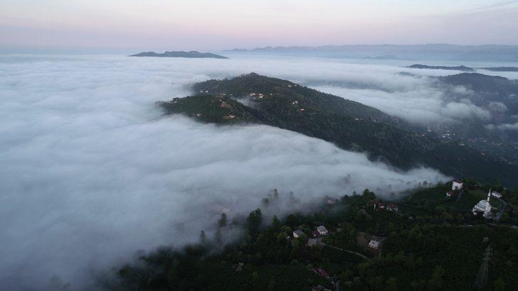Ordu'da radyasyon oranlarının yükseldiği iddiasına açıklama G4