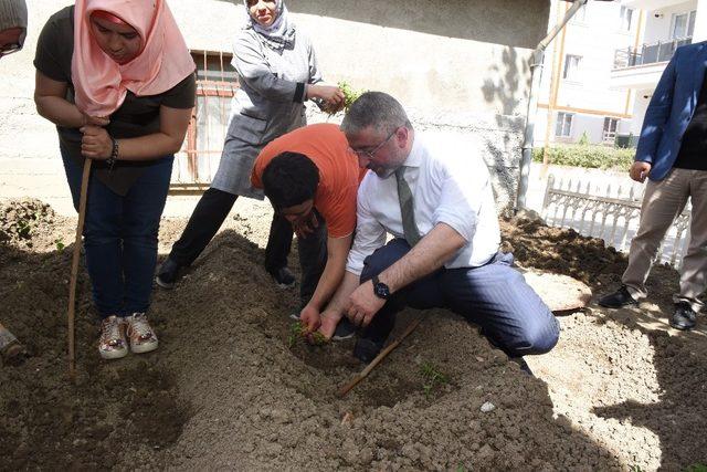 Başkan Aşgın öğrenciler fide dikti