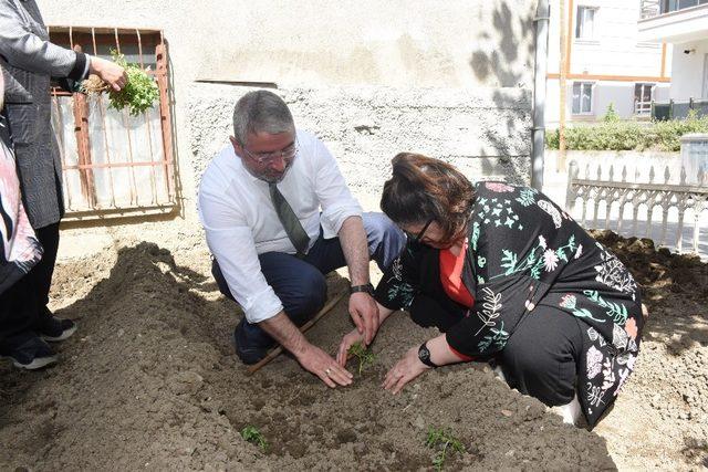 Başkan Aşgın öğrenciler fide dikti