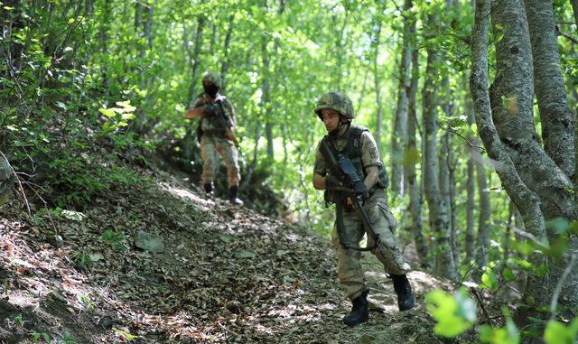 Giresun'da, gri listede aranan PKK'lı terörist, yakalandı