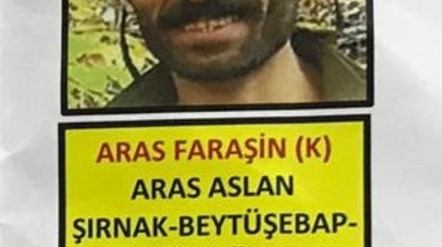 Giresun'da, gri listede aranan PKK'lı ter&ouml;rist, yakalandı