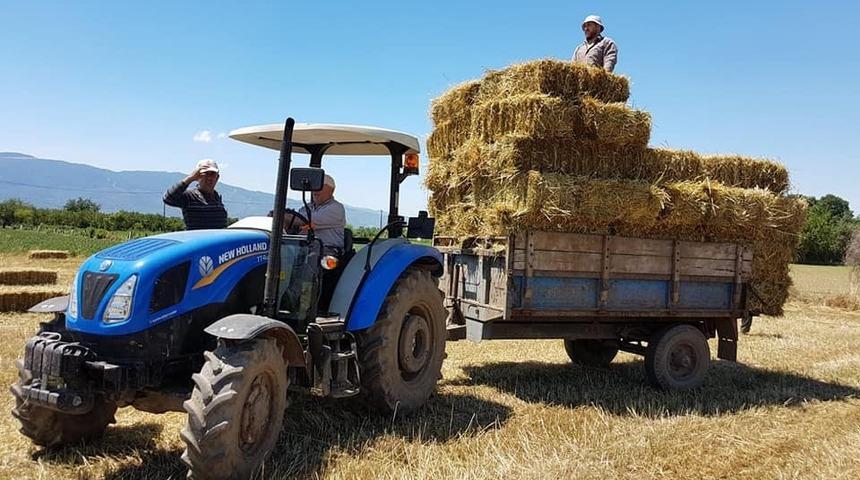 Aydın&rsquo;da yetiştiriciler kış hazırlıklarına başladı