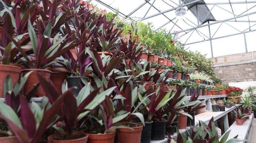 Yeşil Alan Miktarıyla Rekor Kıran Kocasinan’da Parklar Rengarenk