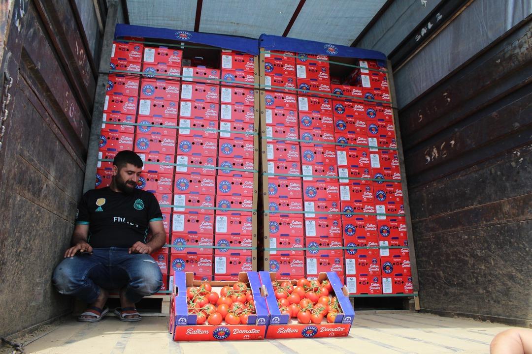  Domates &uuml;reticisini kışın sevindirdi, yazın &uuml;z&uuml;yor