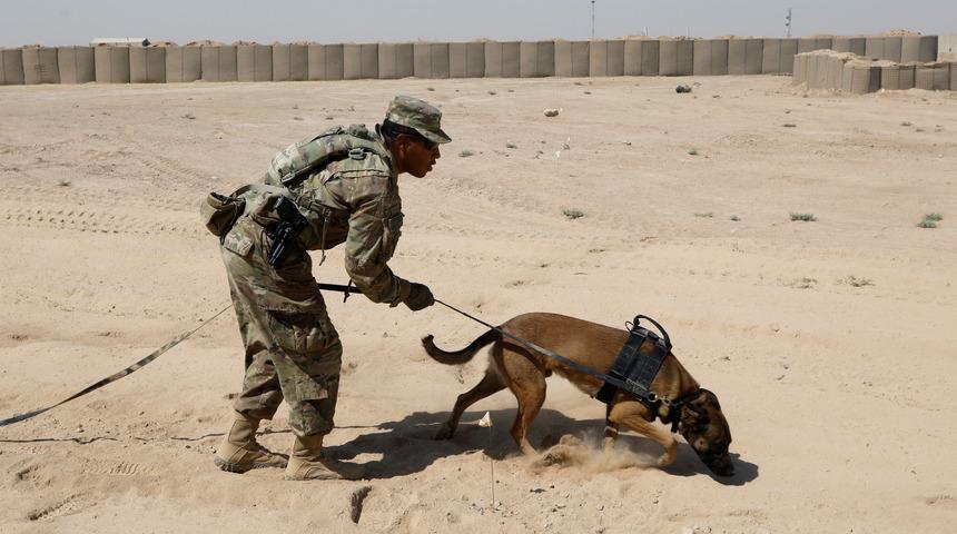 Pentagon Ortadoğu'ya 5,000 asker g&ouml;nderme talebini değerlendiriyor -Yetkililer
