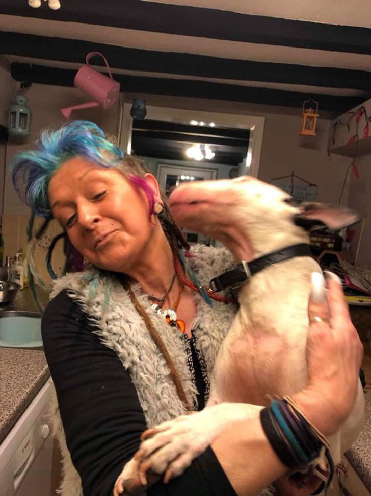 Karısına “Köpeklerin mi yoksa ben mi?” diye soran adam aldığı cevapla şoke oldu! G3