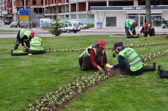 Beyşehir’in park ve bahçeleri kadınlara emanet