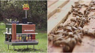 Dünyanın en küçük McDonalds şubesi açıldı ama insanlar için değil! 