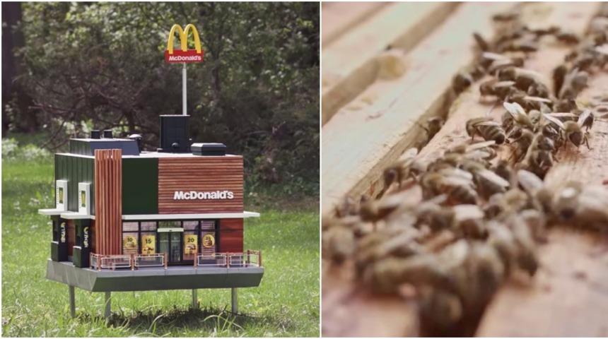 Dünyanın en küçük McDonalds şubesi açıldı ama insanlar için değil! 