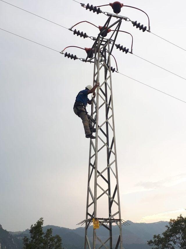 Elektrik akımından kuş ölümleri sona eriyor