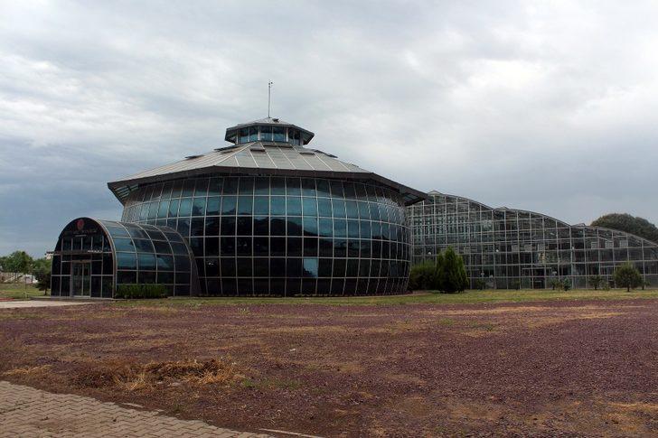 Yurt dışına kaçırılmak istenen Ters Lale bu tesiste çoğaltıldı G1