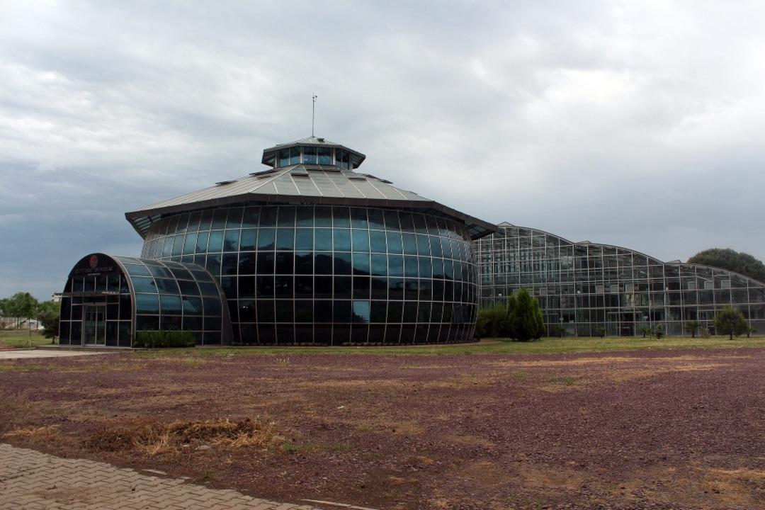 Yurt dışına ka&ccedil;ırılmak istenen Ters Lale bu tesiste &ccedil;oğaltıldı