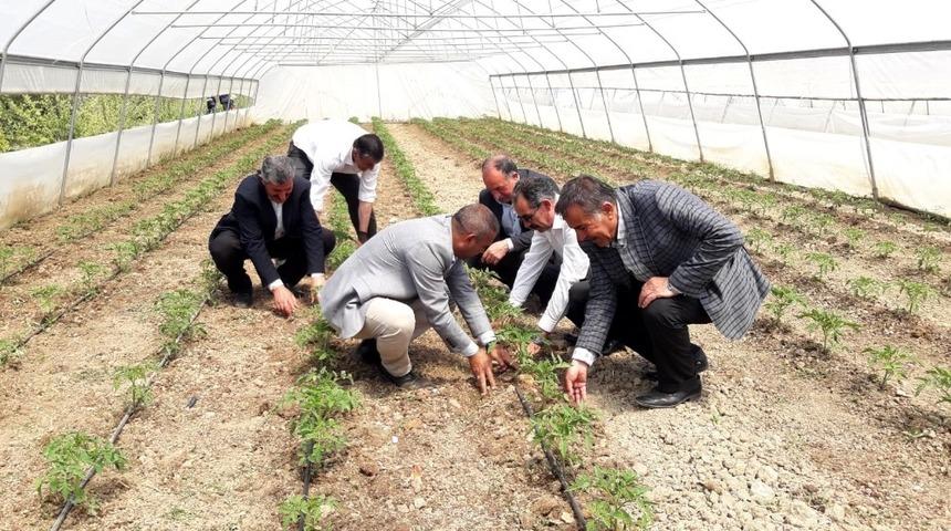 Başkan Tanış: &ldquo;Sebze ve meyve fiyatları, yerli &uuml;retimle d&uuml;şecek&rdquo;