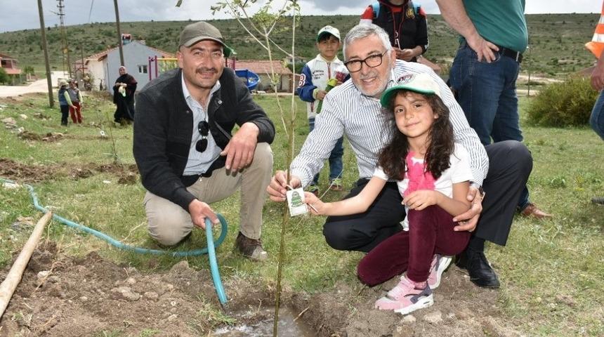 Oklubalı&rsquo;nda artık her &ouml;ğrencinin bir dikili ağacı var