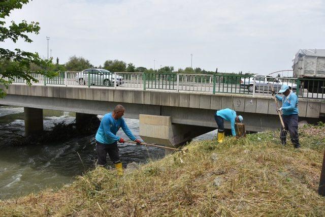 Ceyhan Nehri kıyıları bakıma alındı