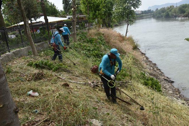 Ceyhan Nehri kıyıları bakıma alındı