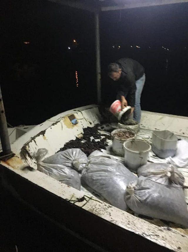 Deniz patlıcanı avlayan 2 kişiye 24 bin lira ceza