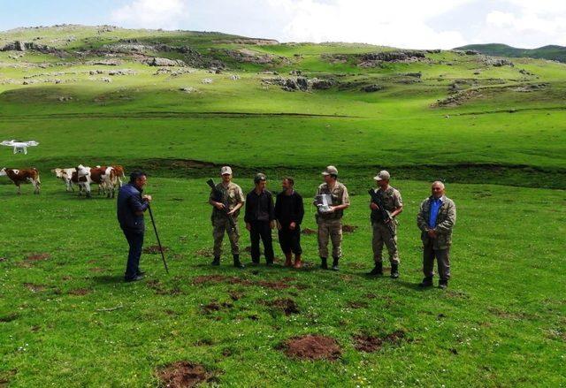 Kaybolan hayvanları jandarma drone ile buldu