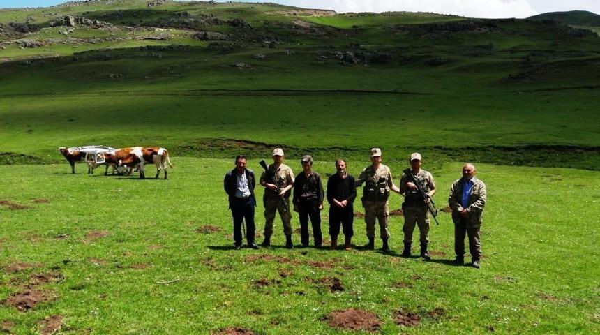 Kaybolan hayvanları jandarma drone ile buldu