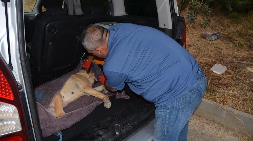 Kuşadası Belediyesi ’Haybulans’ ekibi 7 gün 24 saat görevde