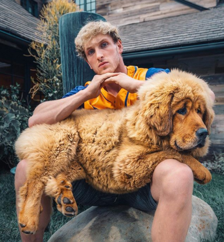 Tokatlanmaktan korktu! Sosyal medya yıkıldı G5