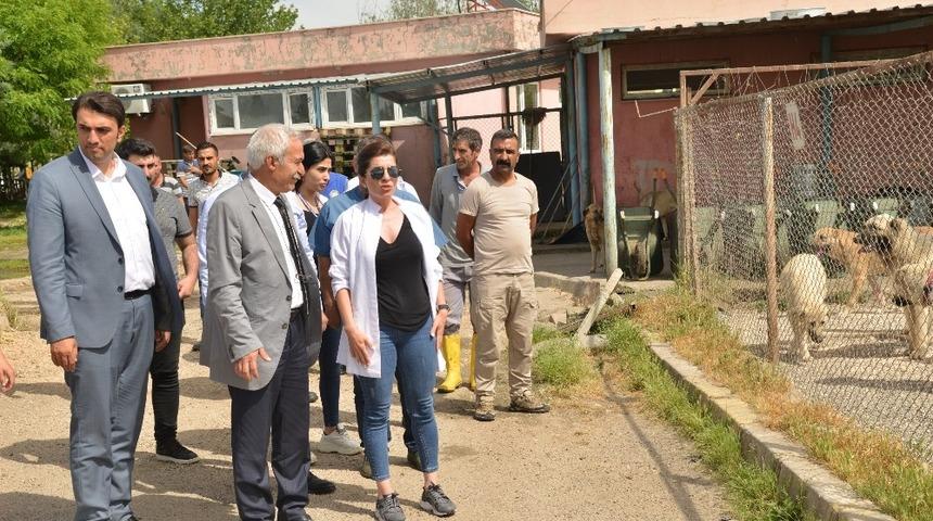 Mızraklı, hayvan bakım merkezini gezdi