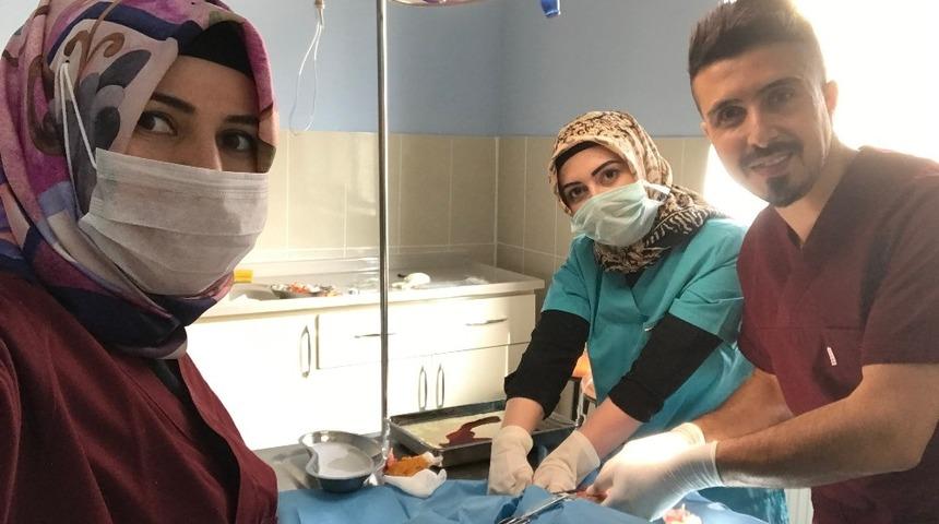 Ayağı kırılan yavru köpeğe operasyon yapıldı