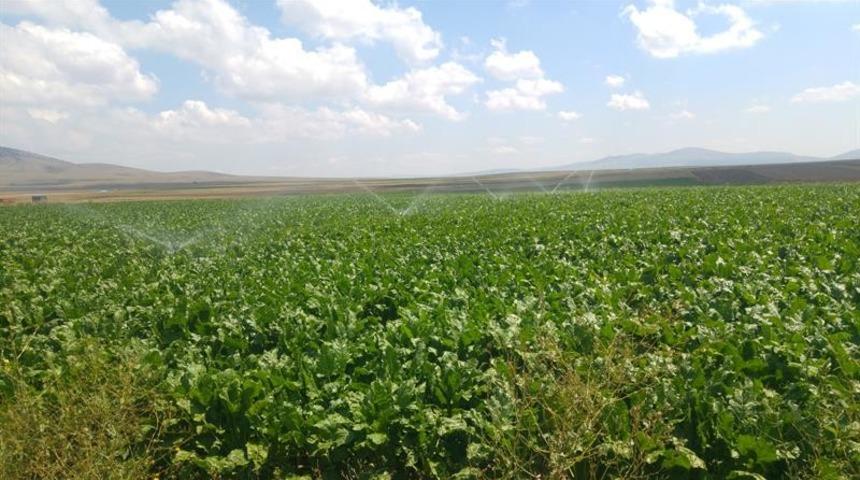 Bireysel sulama sistemlerine yüzde 50 hibe desteği