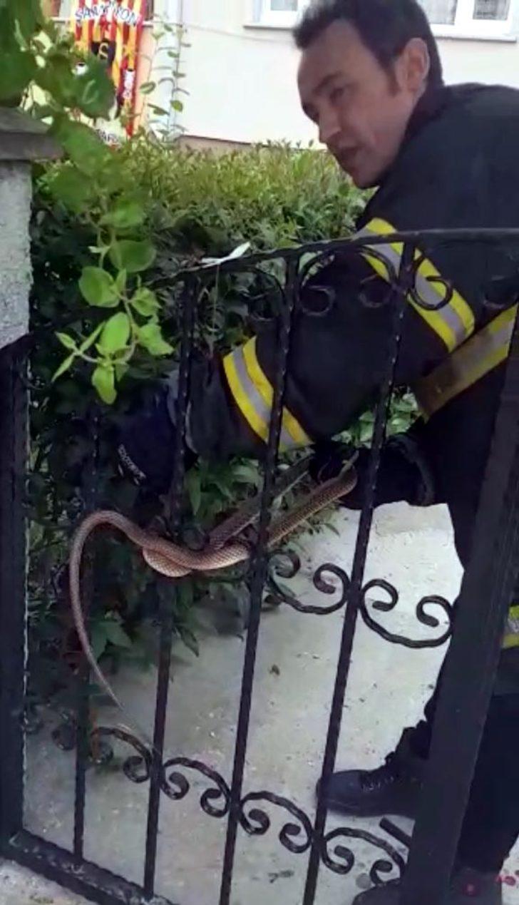 Görür görmez telefona sarıldılar! Evin bahçesinden çıktı G5