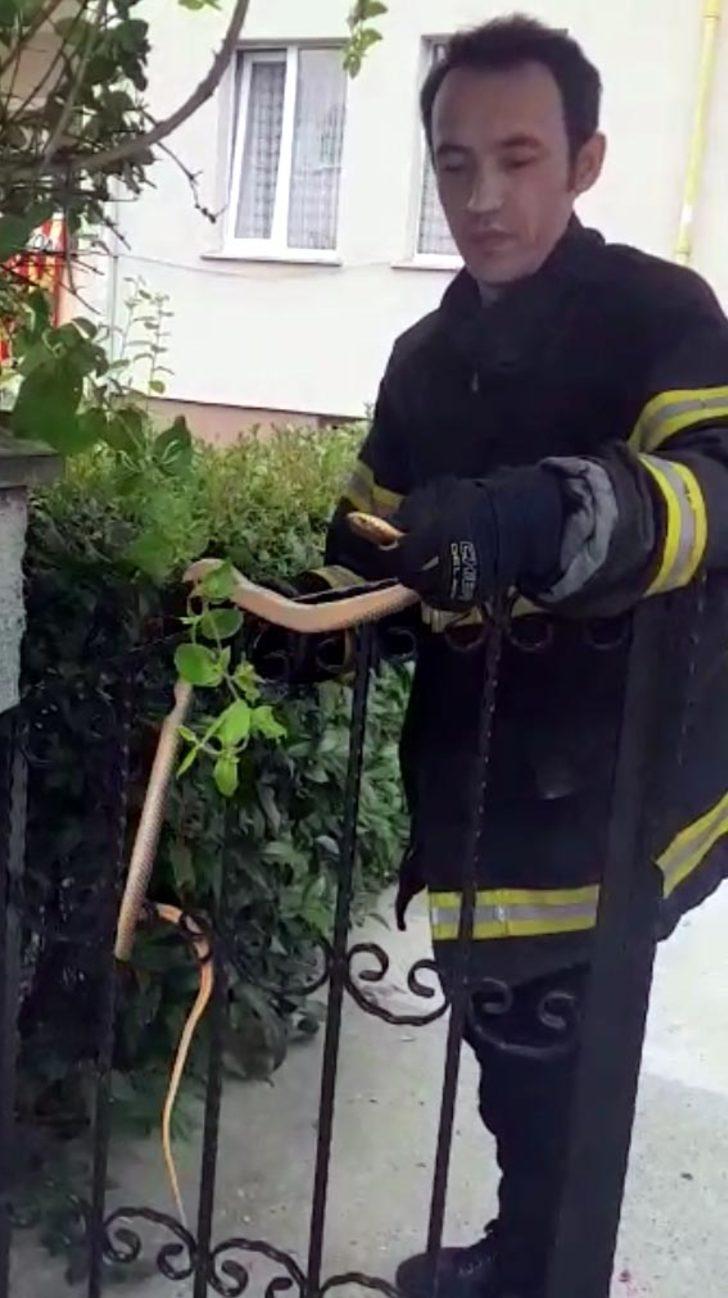 Görür görmez telefona sarıldılar! Evin bahçesinden çıktı G4