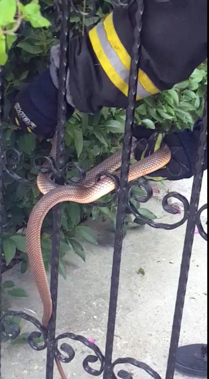 Görür görmez telefona sarıldılar! Evin bahçesinden çıktı G2