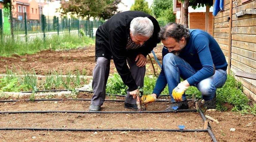&rsquo;G&ouml;n&uuml;l Bah&ccedil;eleri&rsquo;nde &uuml;retimin hazzını yaşıyorlar