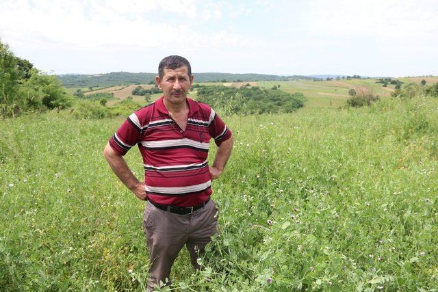 Tohum desteği, çiftçilerin yüzünü güldürüyor