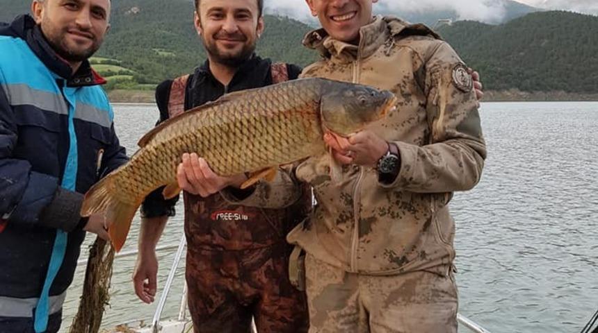 Yasak ava geçit yok