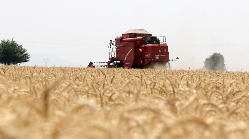 Kozan&rsquo;da buğday sezonu a&ccedil;ıldı