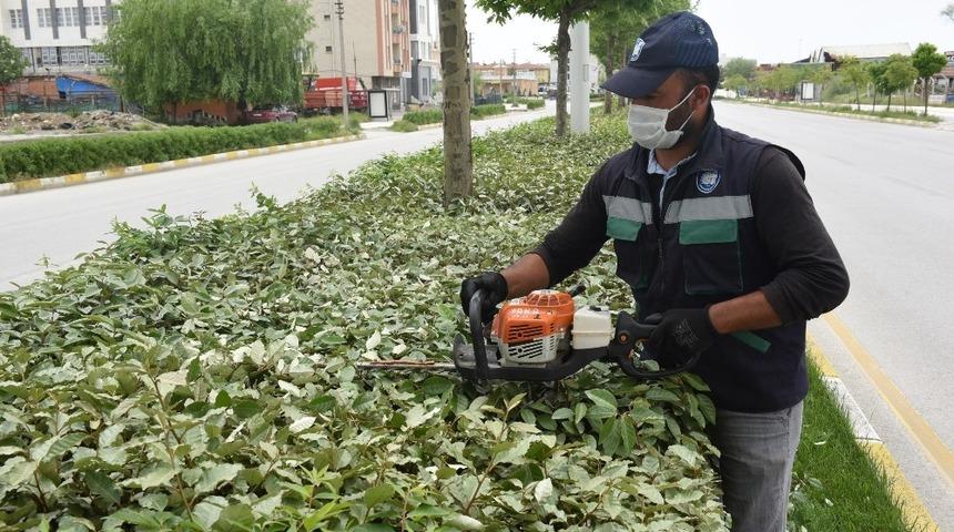 Park ve bahçelerde hummalı çalışma