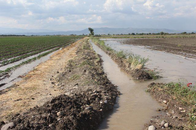Tıkanan sulama kanalı taştı, yüzlerce dekar ekili alan zarar gördü