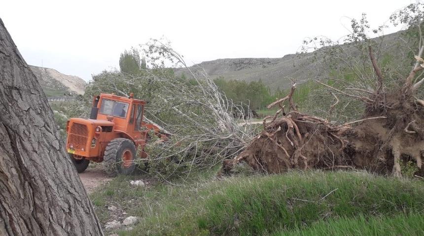Sivas&rsquo;ta kuvvetli r&uuml;zgar ağa&ccedil;ları k&ouml;k&uuml;nden s&ouml;kt&uuml;