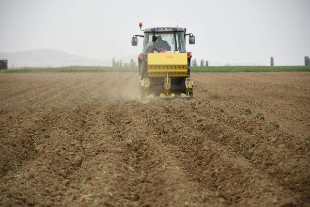 Niğde'de patates ekim alanı yüzde 10 arttı