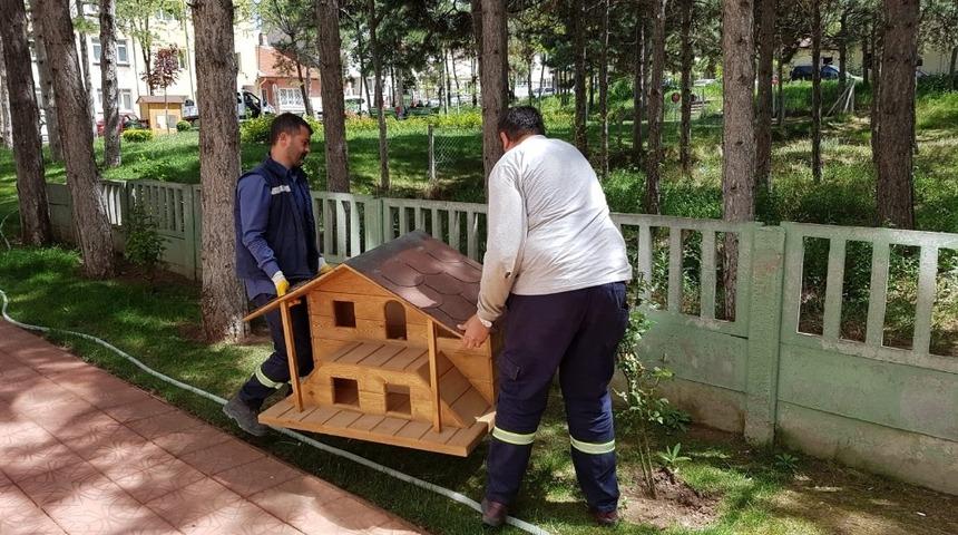 Kedi evlerinin sayısı g&uuml;n ge&ccedil;tik&ccedil;e artıyor