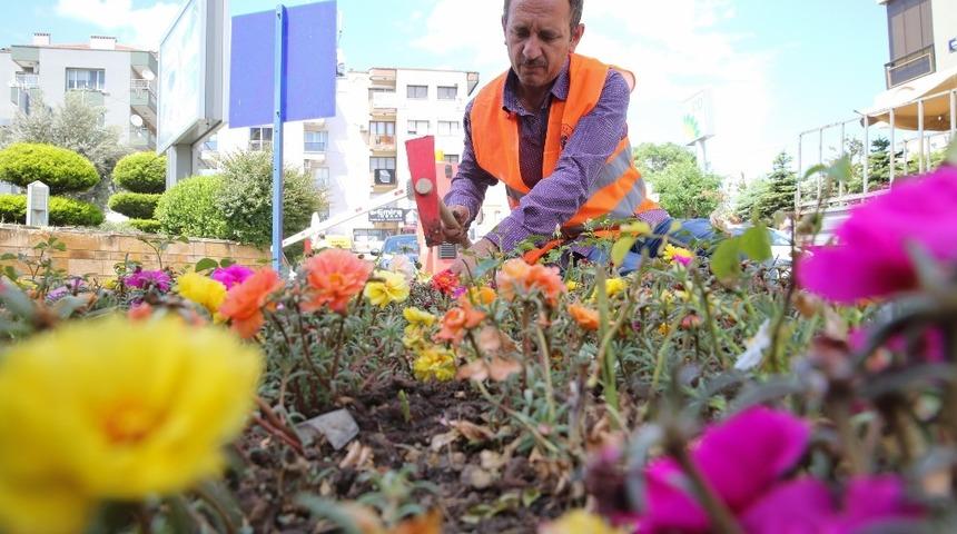 Buca &ccedil;i&ccedil;ek bah&ccedil;esine d&ouml;necek