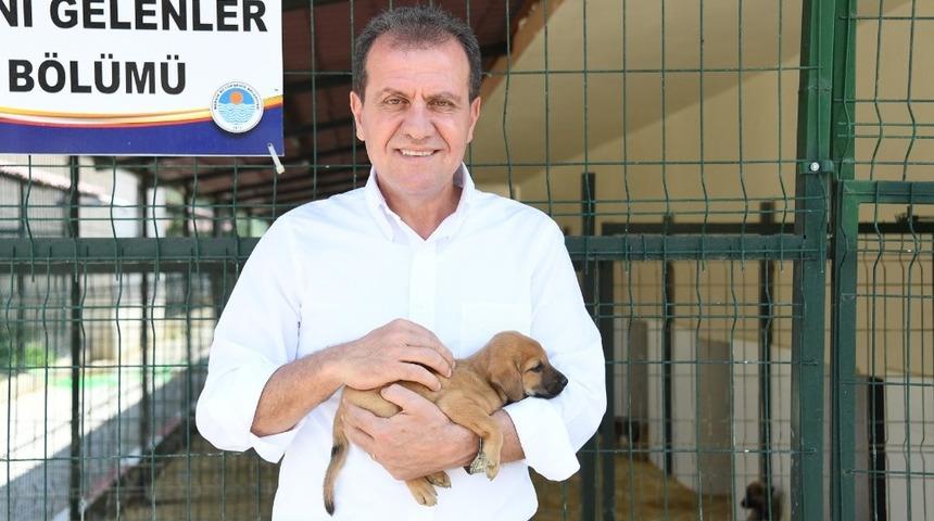 Seçer: “Hayvaseverlerle ortak projelere imza atacağız”