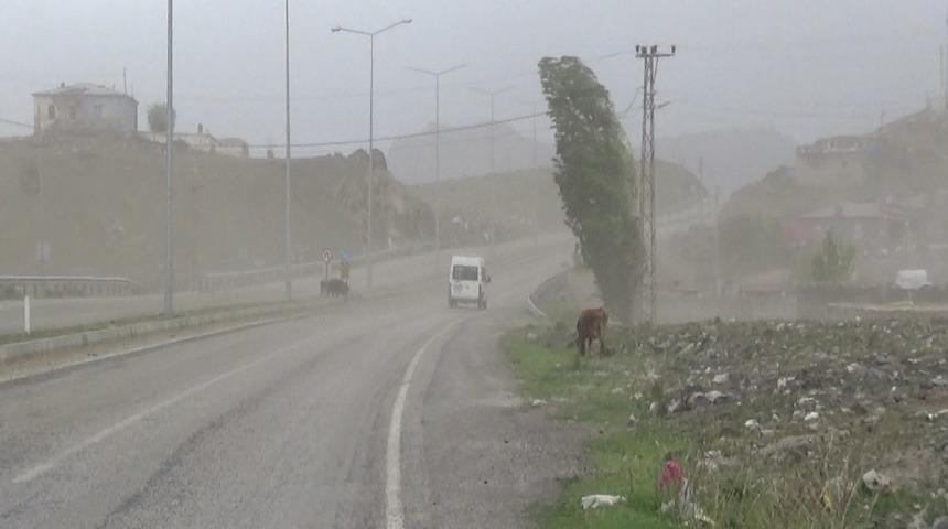 Fırtına, Iğdır-Doğubayazıt karayolunda etkili oldu