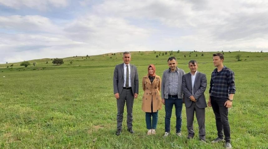 G&uuml;m&uuml;şhane meraları ıslah ediliyor