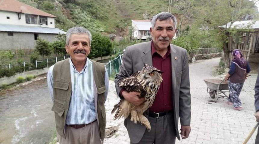 Yaralı Puhu Kuşu Yetkililere Teslim Edildi