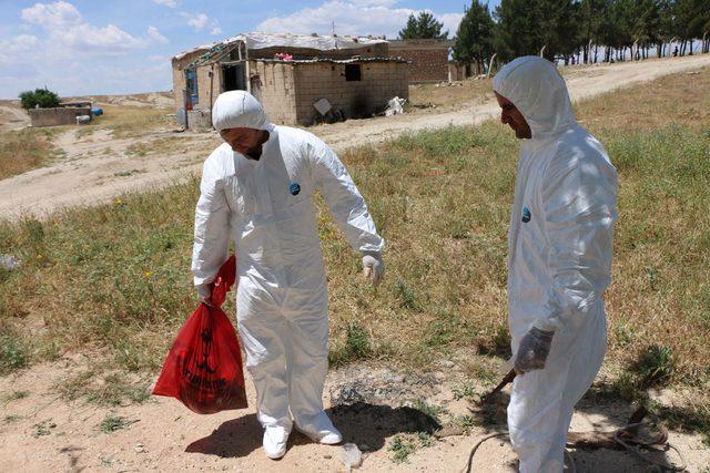 Adıyaman'da köye 'kuduz' karantinası