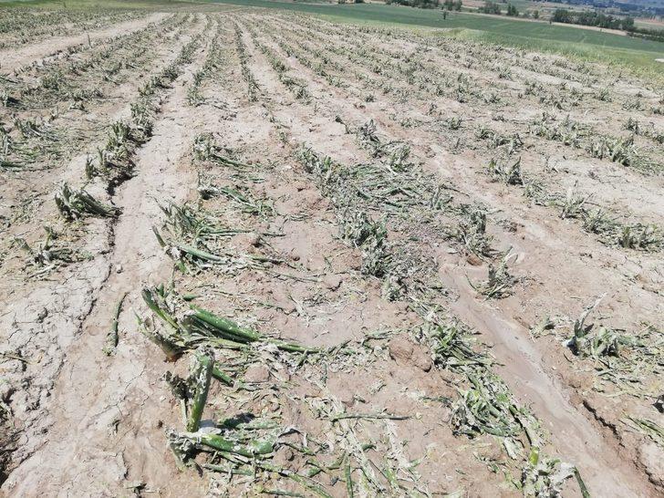 Hazırladıkları raporu Kılıçdaroğlu’na sunacaklar G3