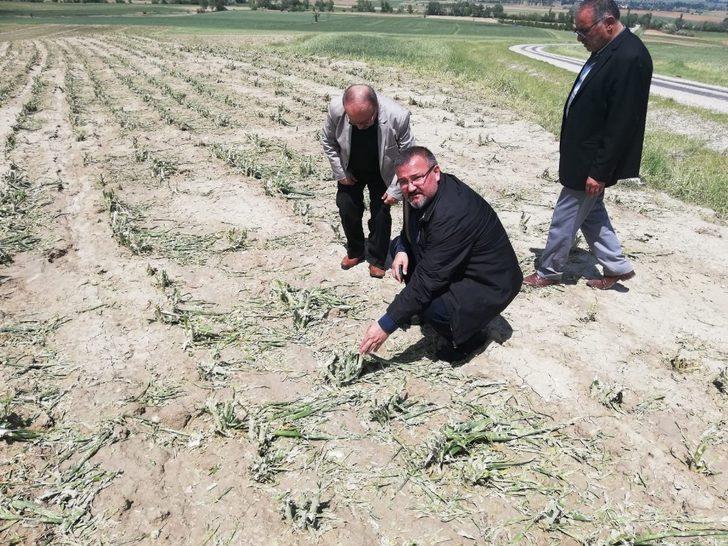 Hazırladıkları raporu Kılıçdaroğlu’na sunacaklar G5